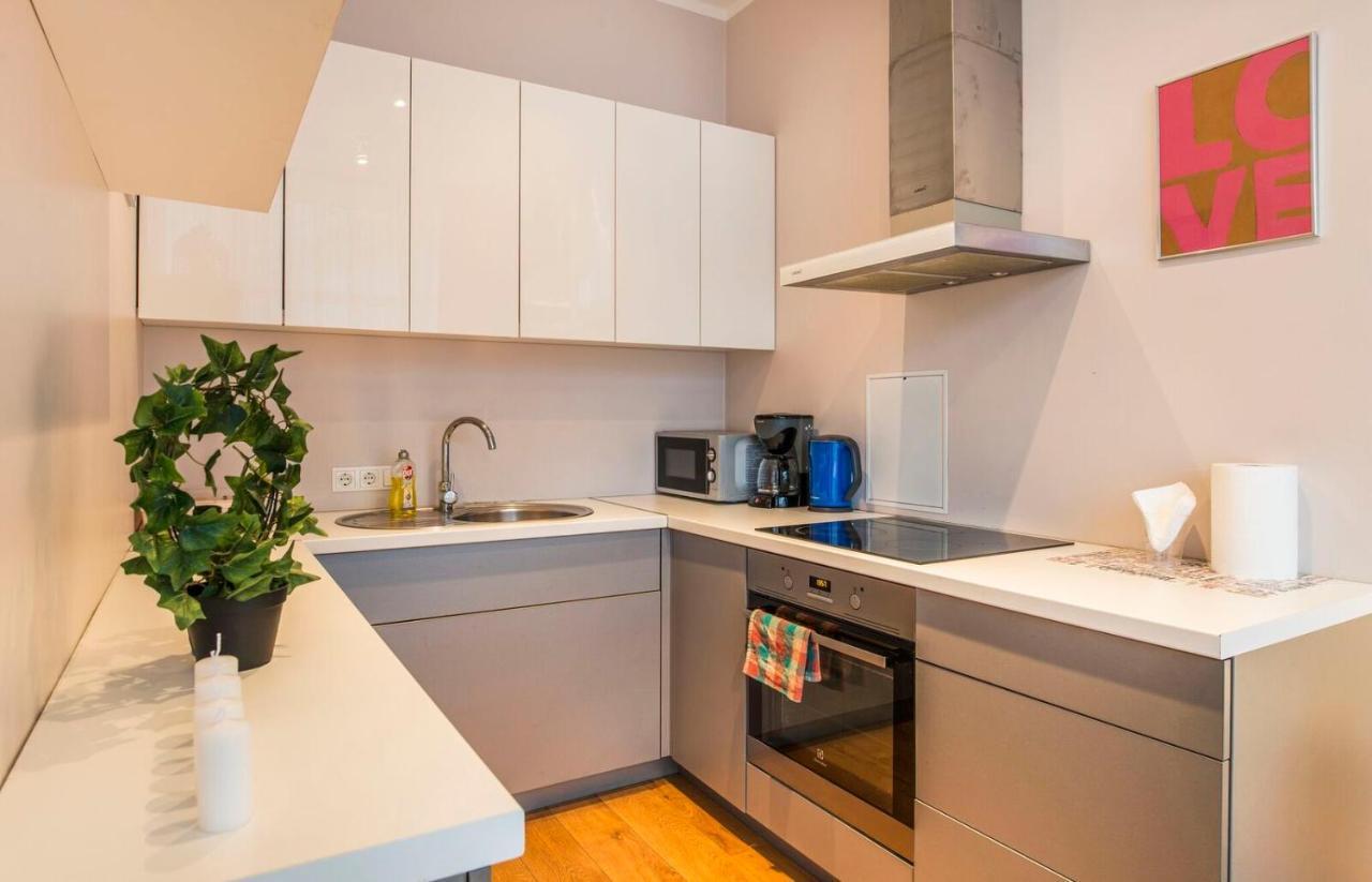 Central 2-Level Penthouse With Terrace And Free Parking Рига Екстер'єр фото